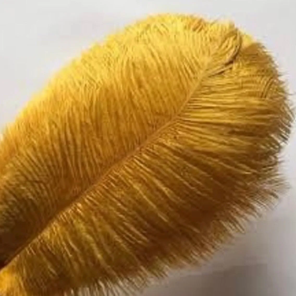 Gold | Black | Emerald Green Ostrich Feathers